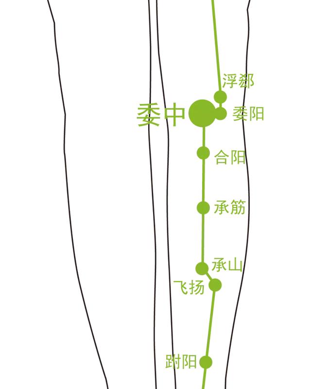 腰痛别大意，小心是腰椎间盘突出