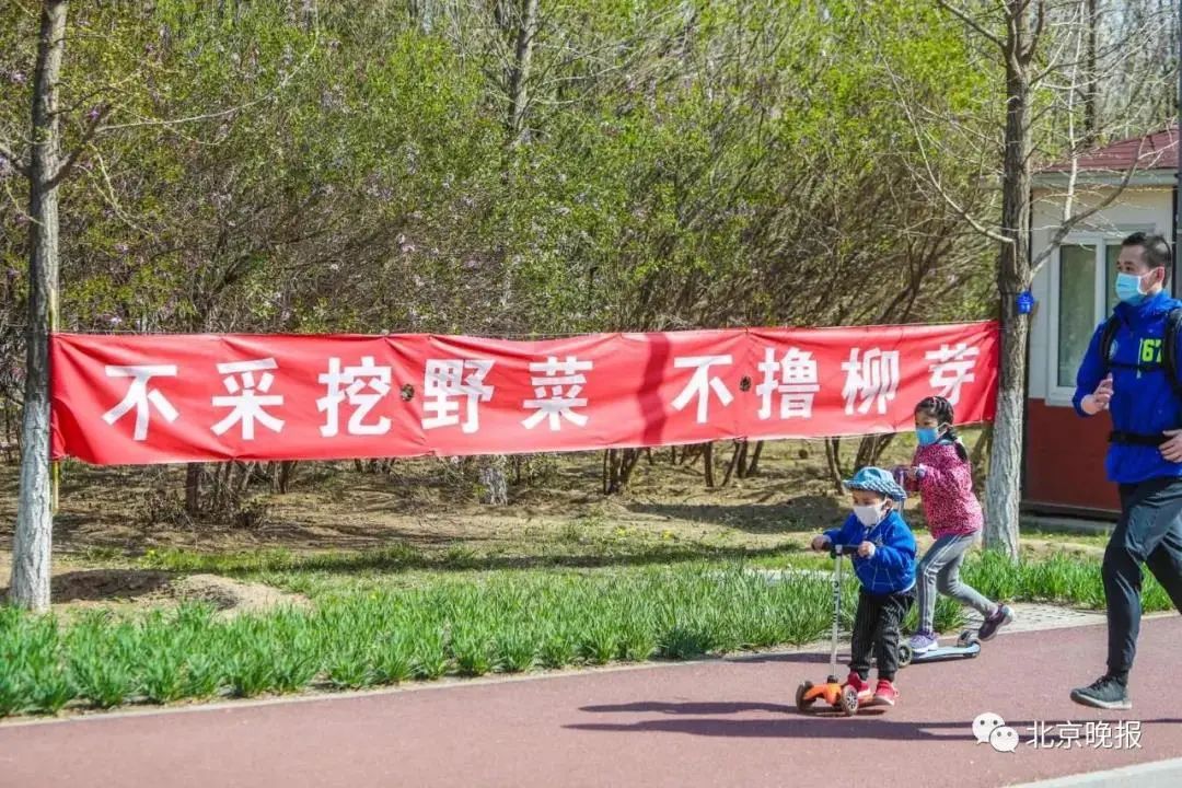 #暖先生格调#疫情还未结束，又有人把手伸向“野味”？千万别带着孩子去做这件事！