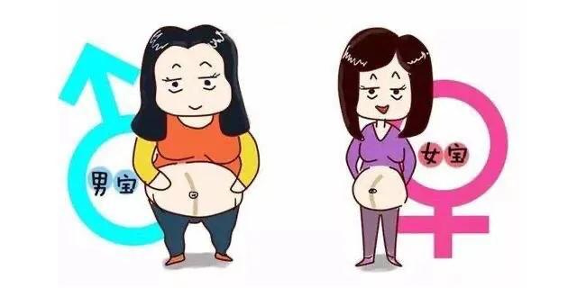 你的育儿经|肚子尖尖生男孩,肚子圆圆生女孩,靠谱吗?生男生女原来取决于它