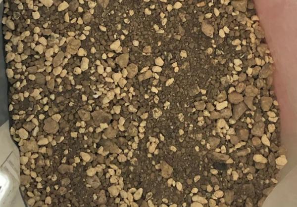 多肉，懒人花友的“心头好”，上班族的“小萌宠”，好看又好养