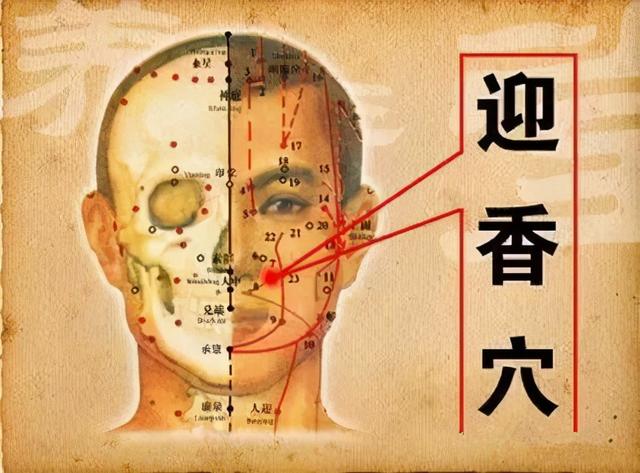 阳气充足，祛病延年！三个小诀窍，教你补肾护阳气