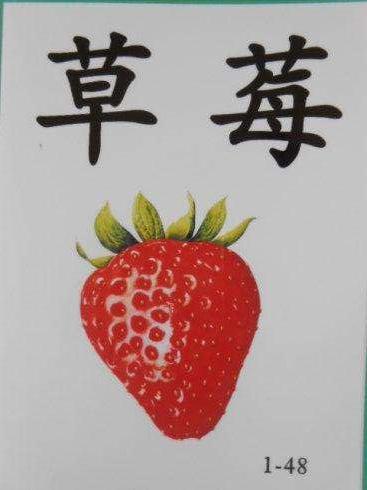 「超级宝妈」4岁天才王恒屹识字3000,孩子识字,黑白字卡与图片字卡哪个更好