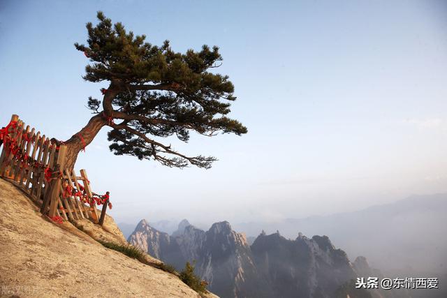 大山那一边是希望，而我带走的是期望，所以我许下承诺，等你成长