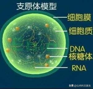【你的育儿经】肺炎支原体肺炎会传染吗？家里有宝宝会不会被传染？如何治疗？