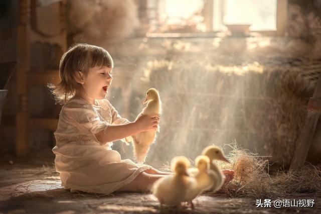 你的育儿经▲儿童摄影的几个关键要点你Get到了吗？