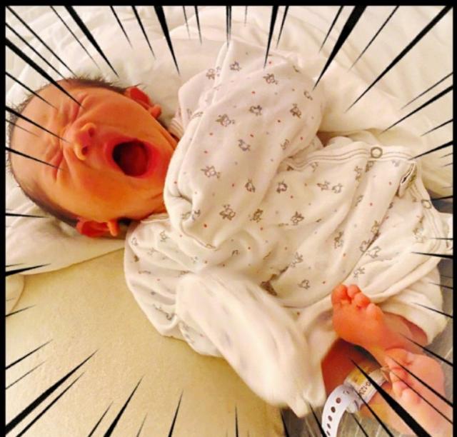 陈小春二胎儿子Hoho的正面照，样子可爱极了|影视交流地