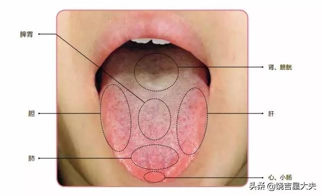 老中医讲透舌诊之常见舌象图谱解说（一）