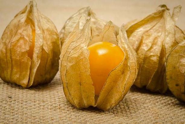 变得|这三种食物对女性春季养生好处多，你一定不要错过