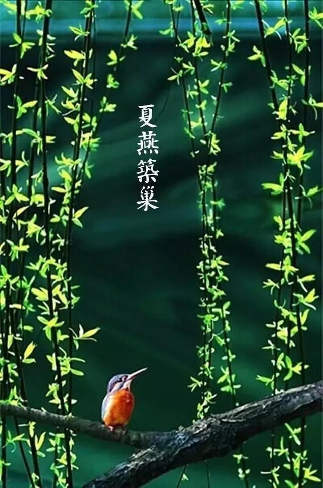 超级宝妈@《给孩子的节气古诗词》中十首谷雨诗词，留住最后一抹春色