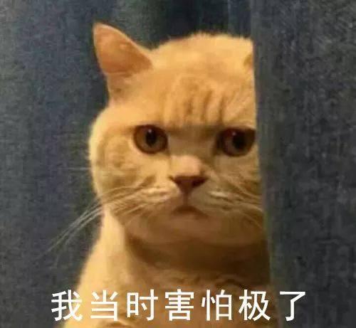 花了20w装修新房，结果被爸妈装成了“主墓室”？？？哈哈哈哈哈