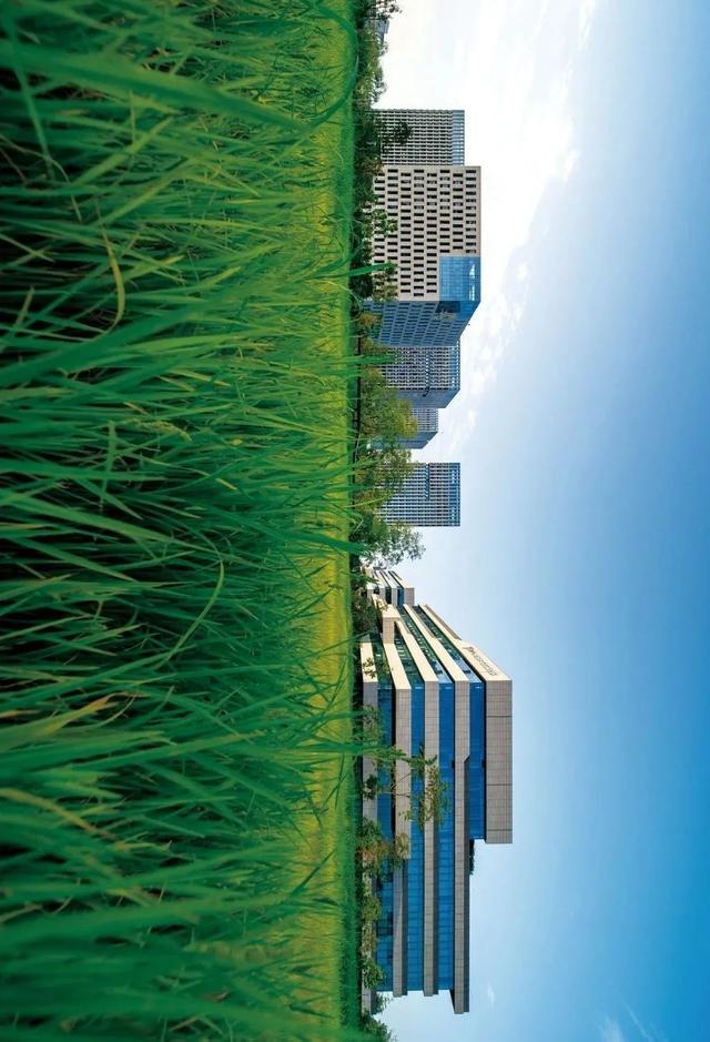 你好，这里是中和