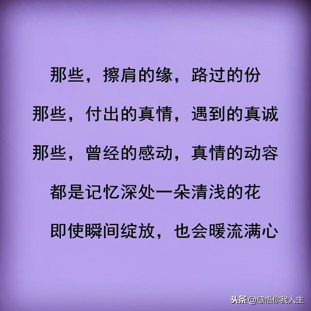 擦肩而过的，叫路上；不离不弃的，叫亲人