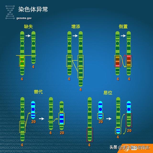 亲情家族|备孕须知:生理知识:也许你不知道的遗传病知识(1)