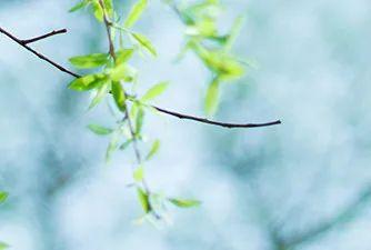 【趣旅游】春分至，福建又有知名景区将恢复开放