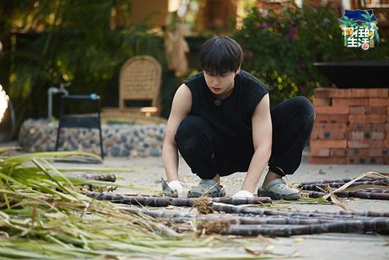彭昱畅《向往的生活》玩转泼水节 蘑菇屋最拼农活小能手现身|fun娱乐
