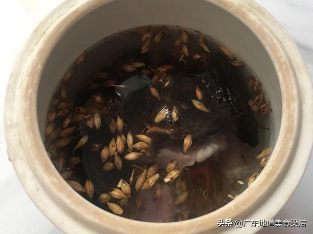 [超级宝妈]广东靓汤羊肚菌炖瘦肉味道鲜香，小孩多喝身体棒，我的育儿日记