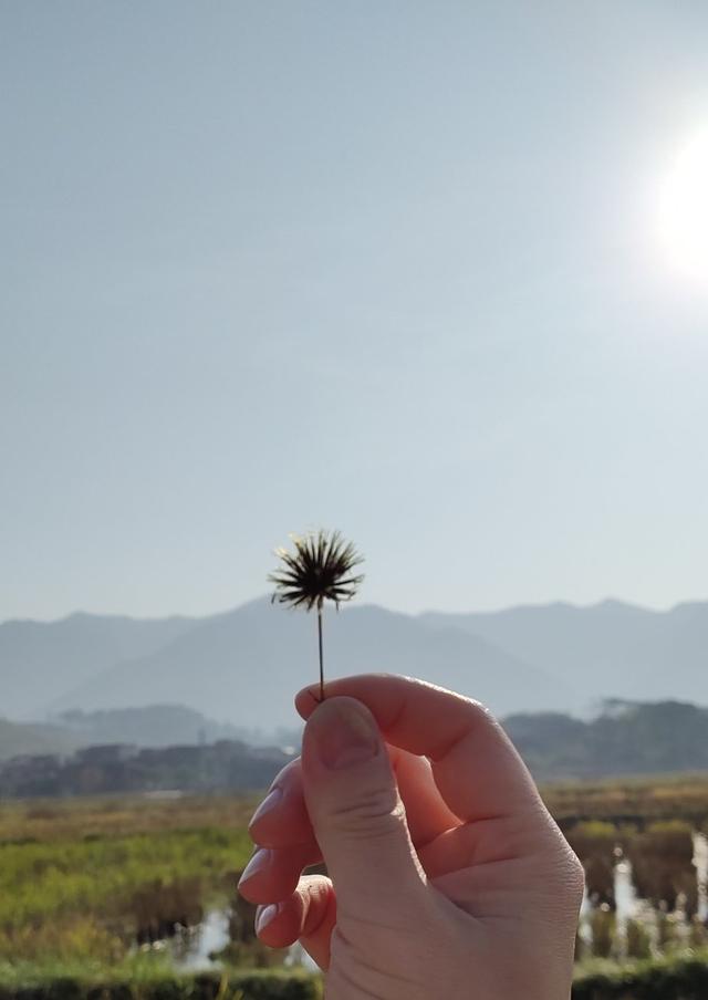 好的人生，需要一点减法