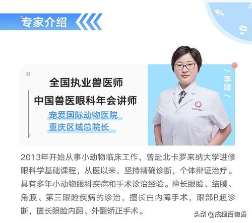 超级宝妈|小心毛孩子这些眼病 可能导致失明