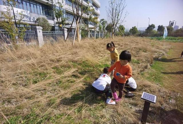 孩子|徒步走，去秋游！新城实验第二幼儿园开着“小火车”走进运河农园