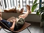 Owner Burst Out Laughing When Corgi Didn't Greet Them Upon Return