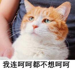 李子柒做泡菜竟遭韩国网友围攻：这个“第一”中国必须争