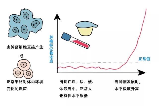 一文读懂肿瘤标志物检查