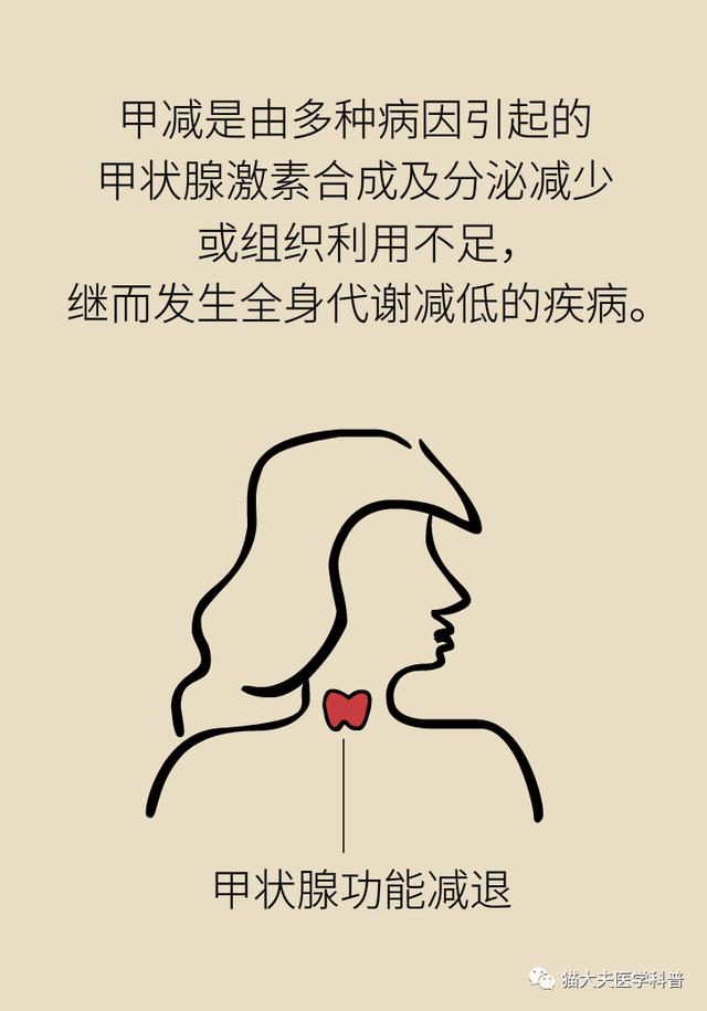 温柔大叔|一孕确实会“傻”三年