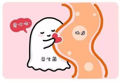 超级宝妈@养好肠道菌群，孕妇胎儿都获益