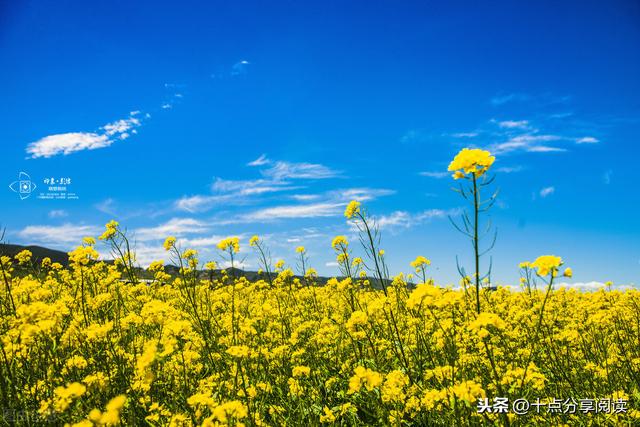 令人难过的是那一团混乱