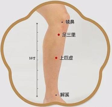 夏日之始，万物繁茂， 护阳健脾保健康