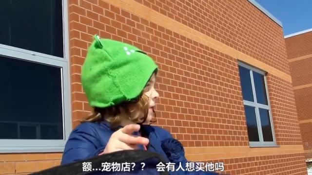 伐木累|5岁女儿提议“卖掉”弟弟，亲爸连忙了解原因，网友：逻辑鬼才