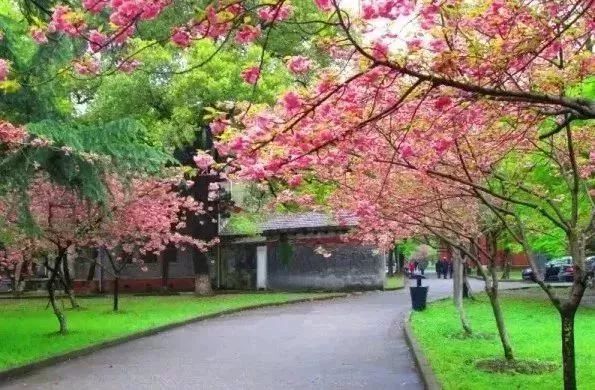 暖先生格调▲看完这些最美大学，我决定今晚再多学1小时！