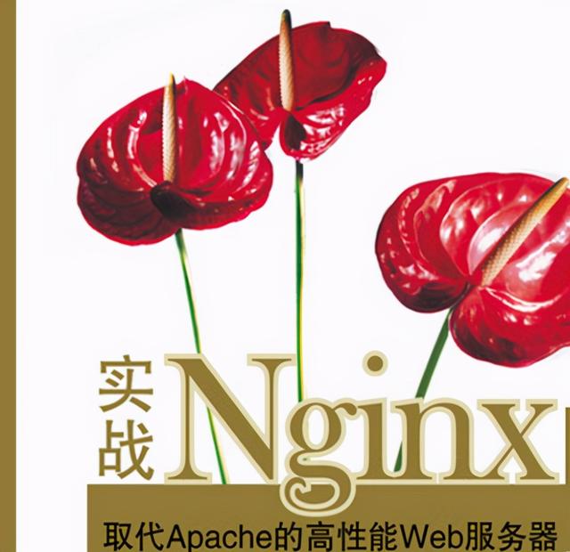 腾讯内部技术文档：Netty+Nginx+Redis实战笔记