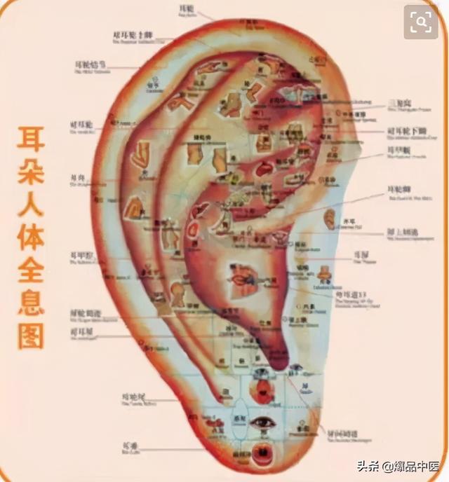 人体最神奇的一位地方，按一按，赶走各种病痛