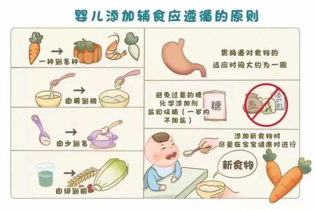 初为人母，还在为宝宝辅食苦恼？医生特别提醒：这些顺序可不能错