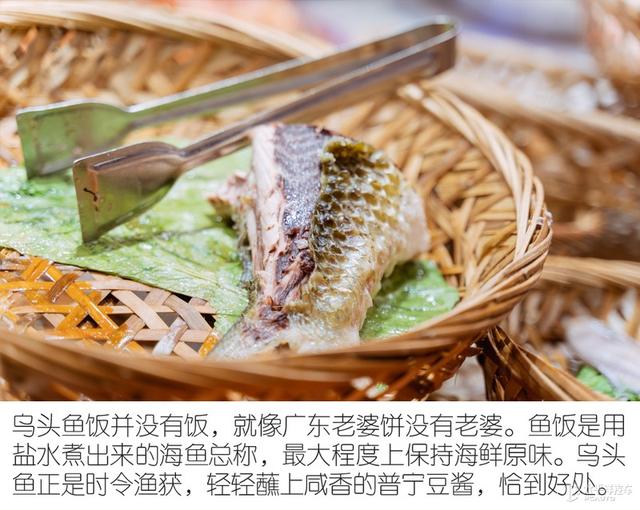 林肯航海家潮汕觅食之旅：美女编辑变成大胃“干饭人”？