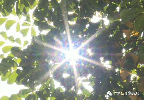 病人|男子中暑体温达42℃身亡，夏天警惕这个病