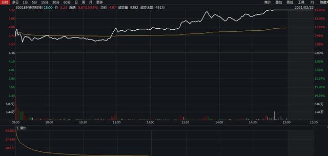划重点！2021年中央一号文件给A股带来这些机会