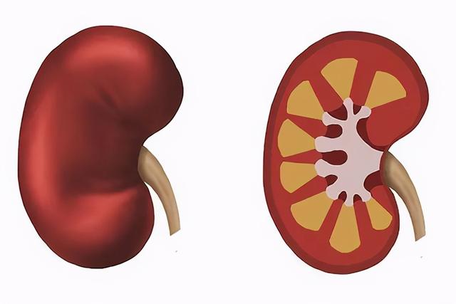 体内有没有癌，腰部能察觉？肿瘤专家说实话：2种癌经常会腰痛