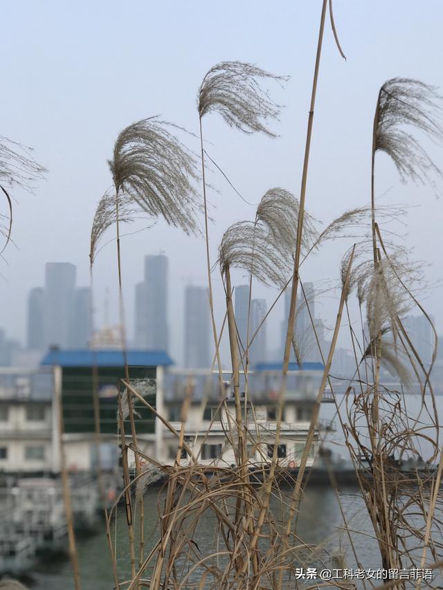 玩乐足迹▲枯水期的汉口江滩走上一小段