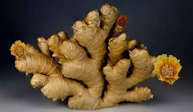 你的育儿经▲宝妈坐月子不能吃酱油、醋、葱姜蒜?月子餐调味料使用大全