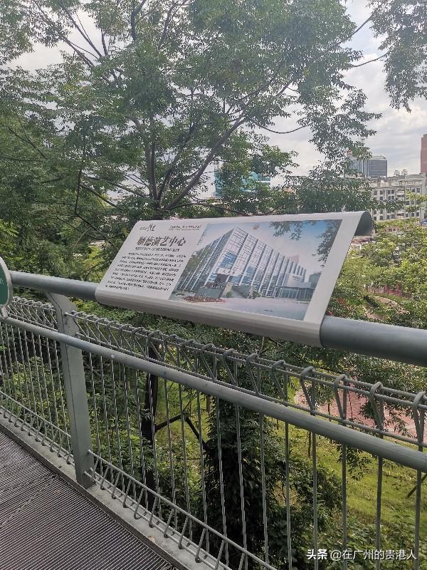 【山楂味的诗】走马观花,看顺德大良。