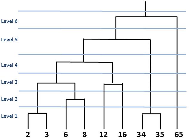 11种最常见的机器学习算法简介