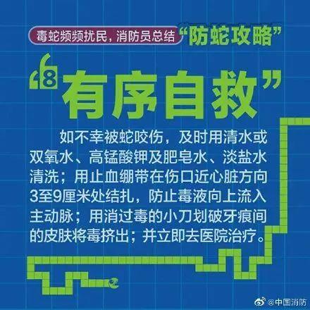 小丽|一朝被蛇咬，九岁女童右手功能丧失