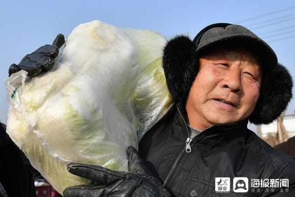 白菜|曾经，山东人的阳台囤住了整个冬天