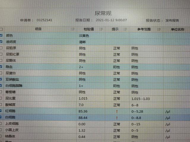 1分钟带你了解泌尿道感染的尿常规结果判读