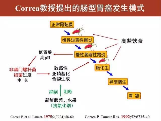 幽门螺杆菌，健康人查不查？没症状治不治？