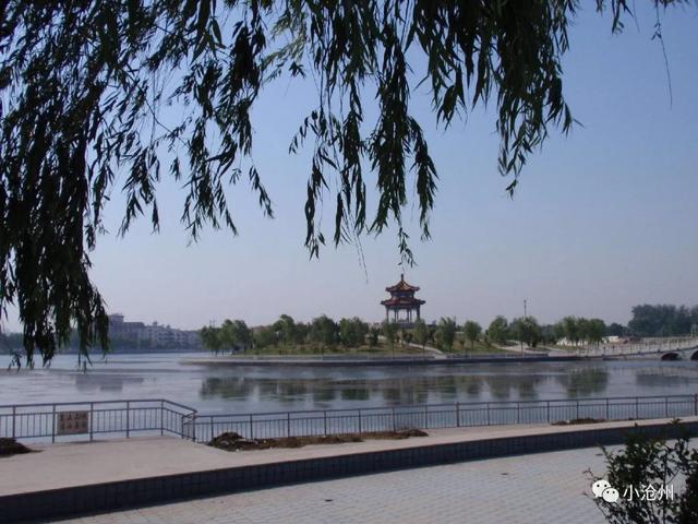 趣旅游@【沧州发布】：继狮城公园、新华、长芦公园开放后，名人植物园赏郁金香，还有这些公园陆续开放