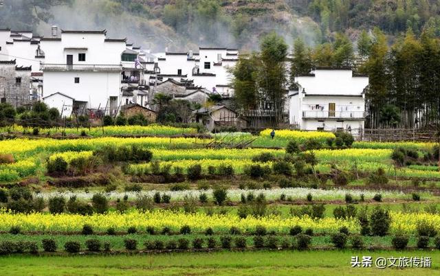 【世界那么大】婺源花艳、景美、人少