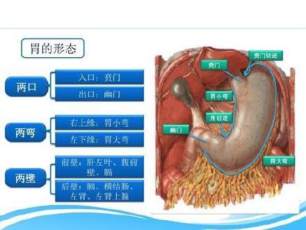 癌变|胃病向胃癌转变有5个征兆